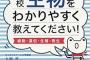 【生】３校目くらいまでは友達がいたから教えた