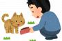 野良猫に一口だけ「チャオちゅーる」食わせてあげた結果…