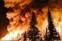 ロシアで森林火災多発、極東に非常事態発令…気候変動による気温上昇が原因！
