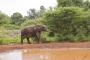 【危険】福岡の動物園さん、騒然の事態が発生・・・