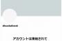 衝撃広がる…チェコ野球協会のXアカウントが凍結　11月9、10日にバンテリンドームナゴヤで侍ジャパンと対戦