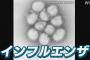 【日本】インフルエンザ、がちのまじで感染爆発