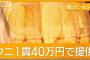 記者「1貫40万円のウニの握りどうでした？」食べた客「美味しかった」
