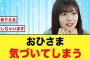 【日向坂46】BIGサプライズがあることに、おひさま気付いてしまう