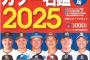 画像　日刊スポーツから発売されるプロ野球選手名鑑の表紙12球団選手がこちら