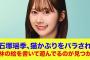【日向坂46】石塚瑶季、猫かぶりをバラされた挙げ句オードリー若林の絵を書いて遊んでるのが見つかるｗｗ【ひなあい】【日向坂で会いましょう】