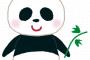 帰宅すると…パンダのエン着た友人が見事な晩飯をこさえてました