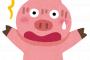 【動画】国民民主党・玉木「備蓄米は動物のエサ。そんな物を安く売っても本当のニーズじゃない」