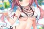 【悲報】ロリ巨乳←現実には存在しないｗｗｗｗｗ