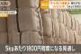 【悲報】お米のプロ「正直備蓄米は味や香りは落ちてると思いますよ」