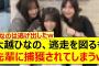 大越ひなの、逃走を図るも先輩に捕獲されてしまうwww【乃木坂46・乃木坂46のオールナイトニッポン・乃木坂配信中・乃木坂工事中】