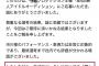 爆乳女性、お胸が大きすぎるせいでアイドルのオーディションに落ちてしまう（画像あり）