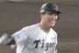 豊田寛、サヨナラ犠牲フライwwwwwwwwwwwwwwwwwwwww