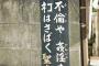 ネコと聖書シリーズ【再】