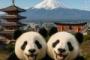 中国人「日本で安価で楽しめる都市を教えて」　中国人「米子は良かった」「時期を外したあそこは最高！」