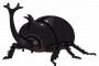 【画像】ちょｗｗカブトムシいてワロタｗｗｗｗｗｗｗｗｗｗｗｗｗｗｗｗｗｗ