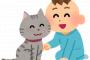 【和む】2歳児と猫の会話、私が幼い時の猫との思い出。子供と猫って気があうのかな？