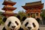 中国人「中国には、京都のこの景色のような歩行街はある？」　中国人「あるぜ！」「中国にも小京都があるよ！」