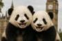 中国人「欧州から日本に来て、欧州の生活が苦行だったことを初めて知った」　中国人「清潔さに驚愕して感動した」「日本は世界一」