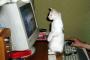 猫とＰＣケース画