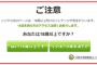 画面「あなたは18歳以上ですか？」　彡(ﾟ)(ﾟ)「…」