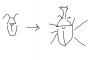 ゴキブリにひとつ機能追加して一番無害にしたやつが優勝