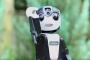 韓国人「日本のシャープが作ったロボット携帯電話が病身すぎる件」→「これを馬鹿にするヘル朝鮮は一生ノーベル賞を取れない」