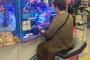 助けてー！ゲーセンに爺さん婆さんしか来ないの！どうすればゲーセンに若者が戻ってくるの？