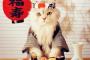 お寿司だいすきー！　そんな猫さん画像集