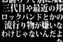 わかるよ、お前らって別にAKB三代目や最近の邦ロックバンドとかの流行り物が嫌いなわけじゃないんだよな