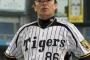 スパイスが率いた2015年広島カープにありがちなこと