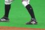 プロ野球選手がソックス上げる（オールドスタイル）のどう思う？