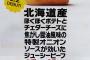 【衝撃】マクドナルドがバーガーの名称募集！ 優勝はバーガー10年！ しかし変な名称ばかり集まる結果に