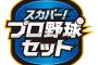 スカパーのプロ野球セットってどう？