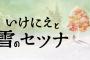 【いけにえと雪のセツナ】パッケージ版は入れ替えが面倒だからダウンロード版を買う予定