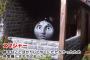 【画像あり】ワイ将、甥っ子ときかんしゃトーマスを見てて驚愕の事実を知るｗｗｗｗｗｗｗｗ