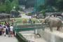 税金で運営するほど動物園って必要かな？