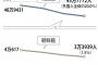 【在日】朝鮮籍保持者3万3939人、1970年の時点では30万人近くいたが大部分は韓国籍もしくは日本国籍を取得