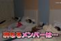 本日放送したネ申TVが神回ｗｗｗｗｗｗｗｗ【メンバー寝起きどっきり】
