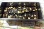 チョコレートブラウニーを作るよ！！