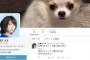 女優・広瀬アリスがついにTwitter開始！フォローした対象からにじみ出る「ガチオタ」感がすごい