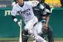 各球団のポジれる若手野手wwwwww(25歳以下代表未選抜)