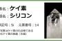 水素の次はケイ素！？水素を吸いながらケイ素スムージー飲んでる人がいる…