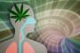 【大麻厨終了のお知らせ】 大麻成分に神経回路を壊す働きがあることが発覚…