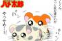 ３次より2次のほうがヌケる世の中ってすごいよなｗｗｗｗｗｗｗｗｗｗｗ
