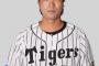 阪神一二三が戦力外　２年目に野手転向、今季は育成　10打数１安打　．100（2軍）