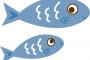 ワイニート、魚市場に就職したらホワイトすぎてびびったｗｗｗｗｗ