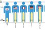 日本人の平均身長が伸びている　男性：172.2cm