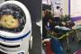 【閲覧注意】中国、展示会でヒト型ロボットが暴走し1名負傷（トラウマ画像）