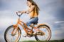 娘の自転車が近所の姉弟に盗まれた→取り返しにいくと、姉弟『皆はお父さんがいてずるい！自転車くらい分けてよ！』俺「は？」